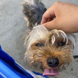 Meet your Posher, Kimberly